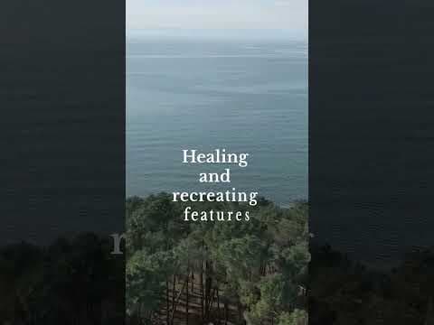 ზღვისა და ტყის ჰარმონიული შერწყმა VR Shekvetili Forest~Beach | By Paragraph-ში