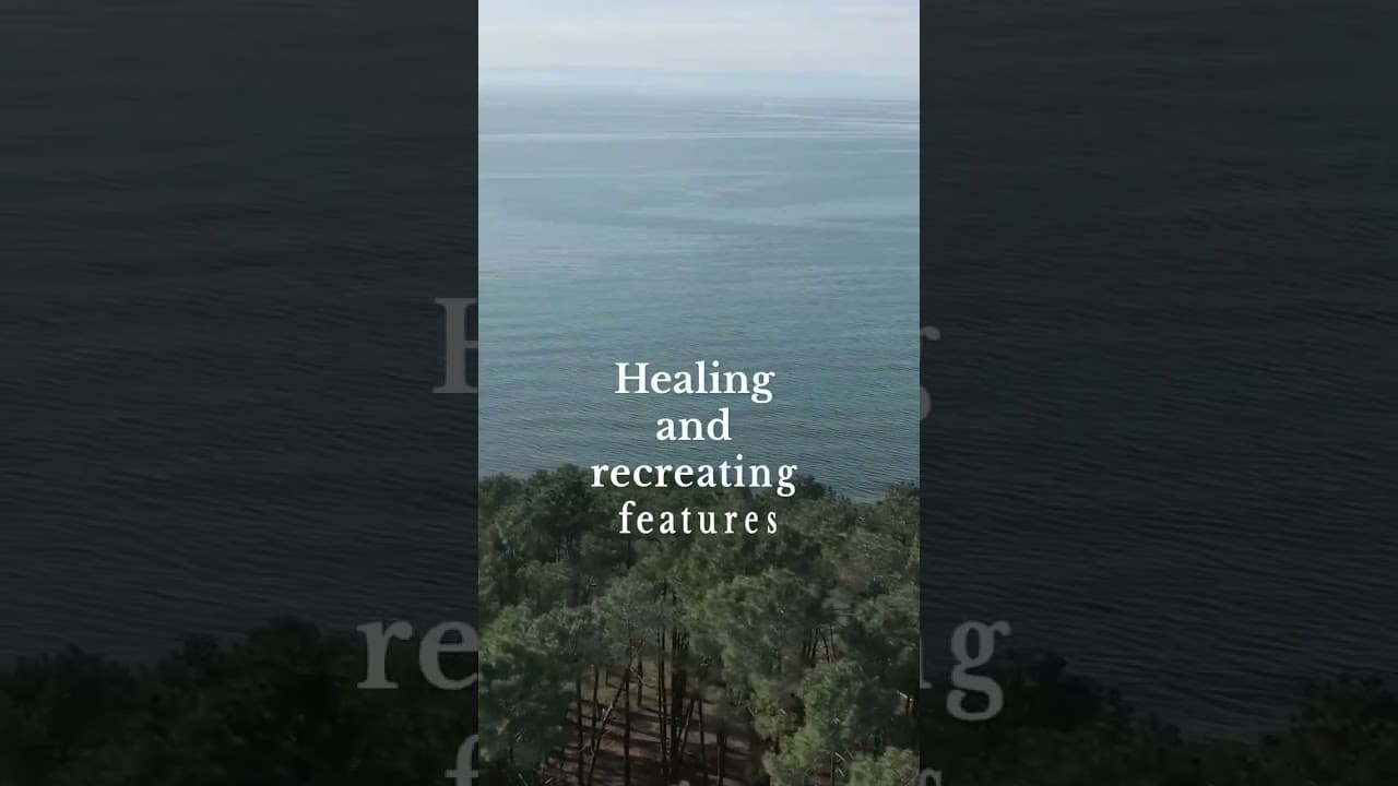 ზღვისა და ტყის ჰარმონიული შერწყმა VR Shekvetili Forest~Beach | By Paragraph-ში