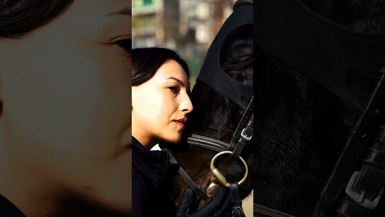 Experience Horseback Riding at VR Krtsanisi Resort Residence