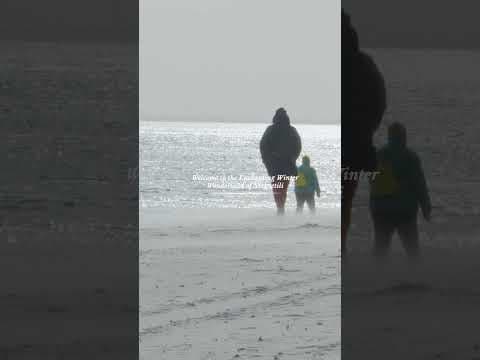 Добро пожаловать в очаровательный, заснеженный мир VR Shekvetili Forest~Beach | By Paragraph!