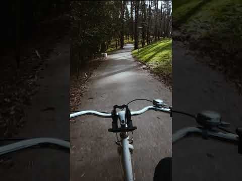 VR Shekvetili Forest~Beach | By Paragraph предлагает больше, чем просто дом