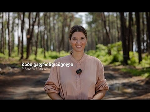 პროექტ VR Shekvetili Forest~Beach | By Paragraph-ის პირველი ფაზის მშენებლობა აქტიურ რეჟიმში მიმდინარეობს
