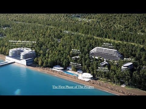 Discover the project of the future – VR Shekvetili Forest~Beach | By Paragraph!