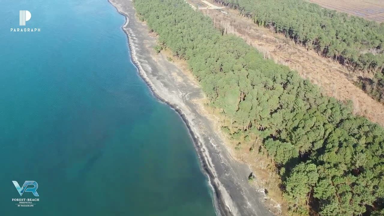 VR Shekvetili Forest~Beach | By Paragraph Вид с дрона