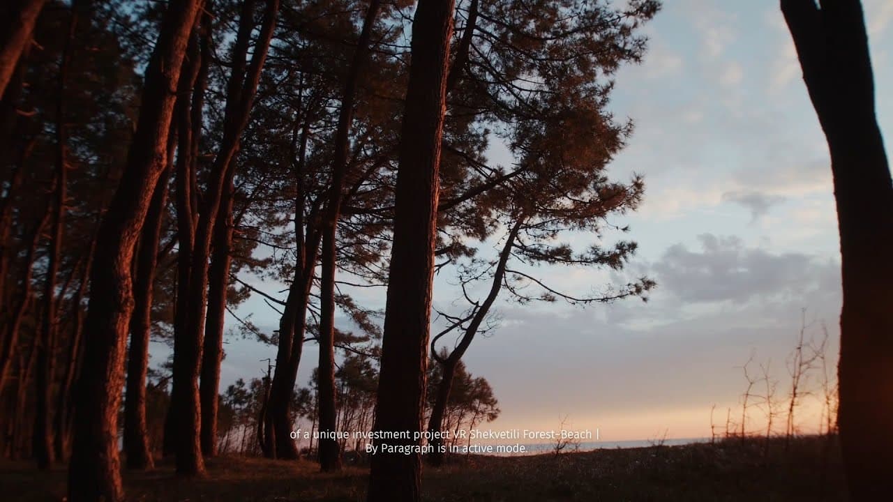 Строительство первой фазы проекта VR Shekvetili Forest~Beach | By Paragraph находится в разработке и активно продвигается