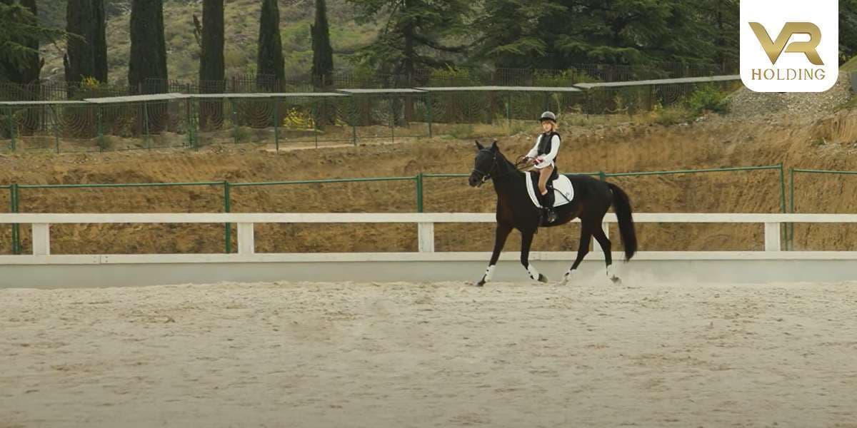 Stable and Mini Hippodrome in “Krtsanisi Resort Residence”