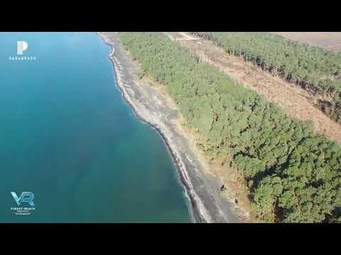 VR Shekvetili Forest~Beach | By Paragraph Вид с дрона