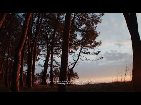 Строительство первой фазы проекта VR Shekvetili Forest~Beach | By Paragraph находится в разработке и активно продвигается