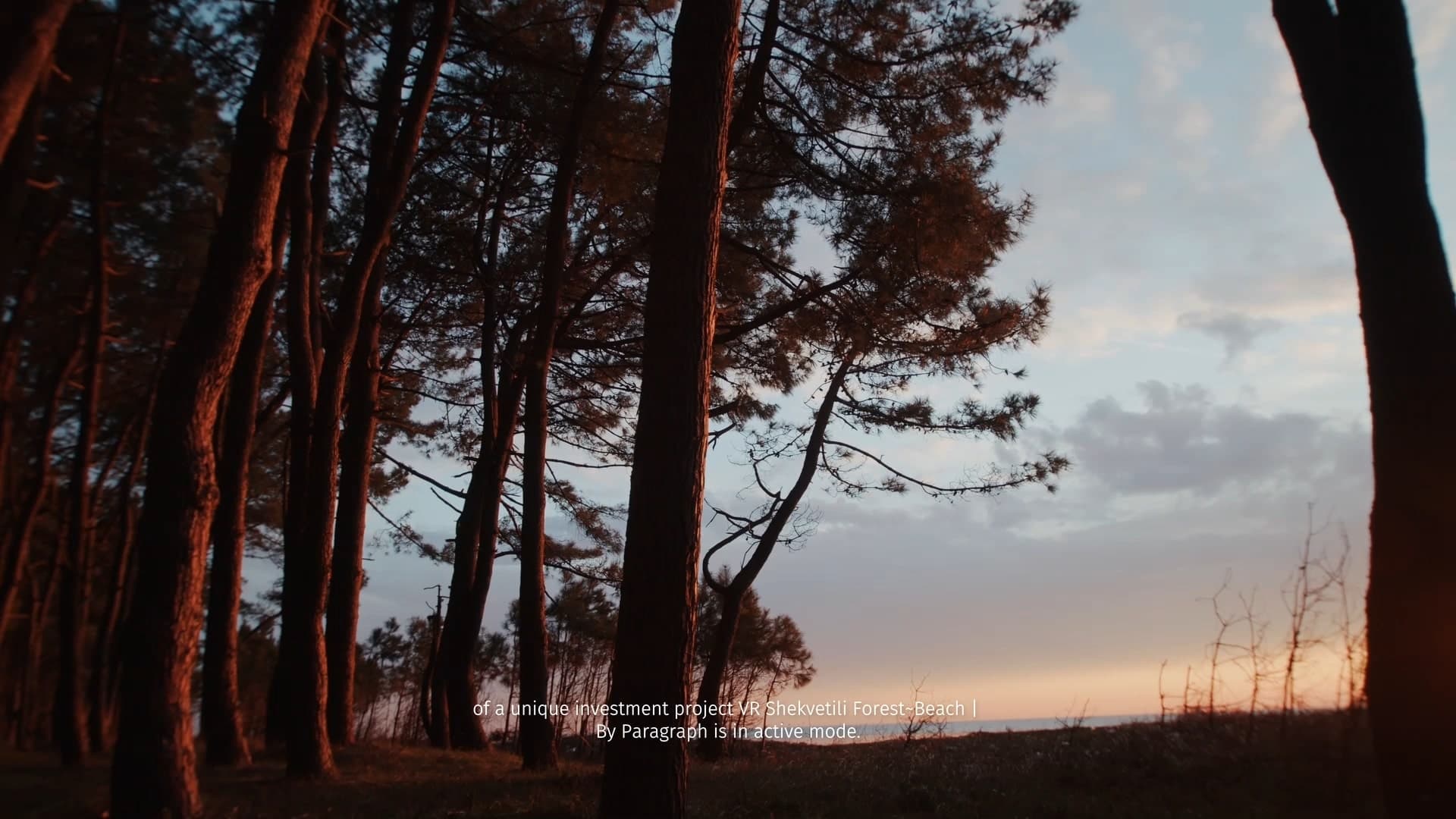 Строительство первой фазы проекта VR Shekvetili Forest~Beach | By Paragraph находится в разработке и активно продвигается