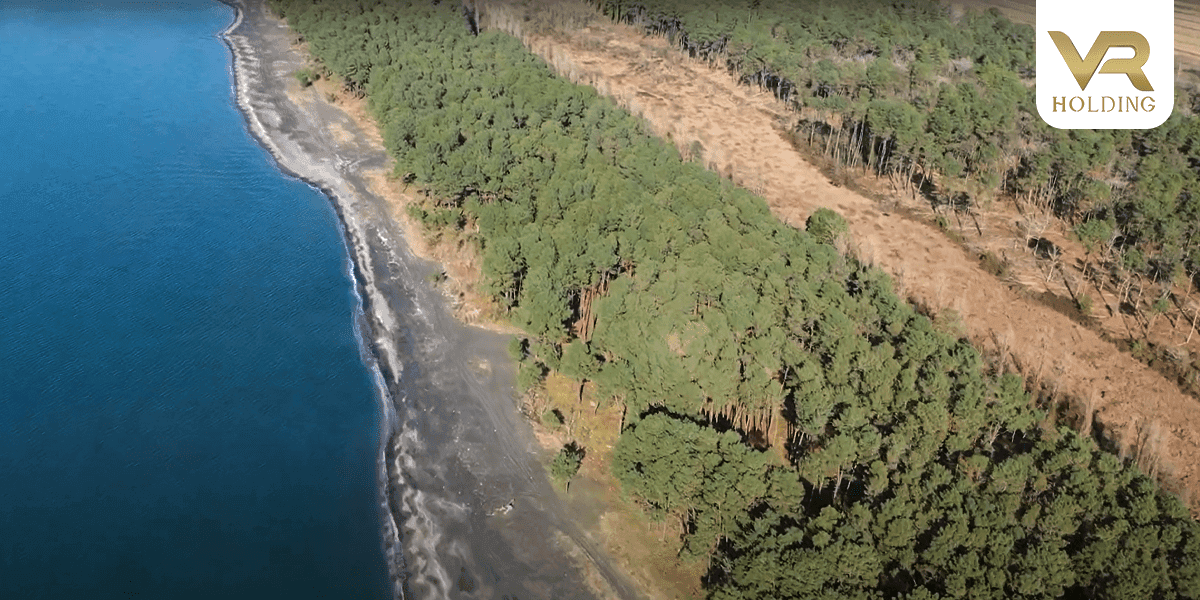 VR Shekvetili Forest~Beach | By Paragraph Вид с дрона