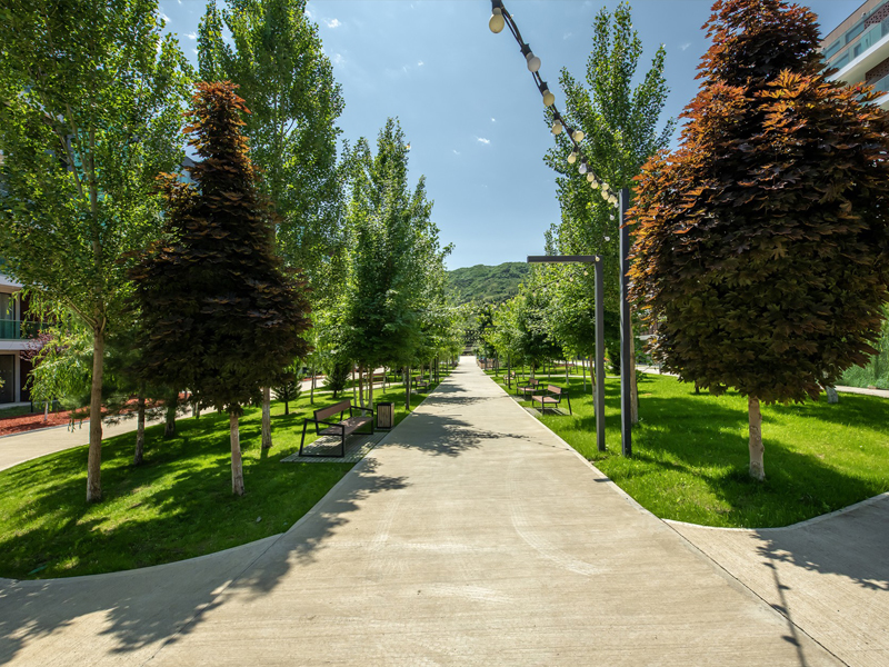 ველო და საფეხმავლო ბილიკები